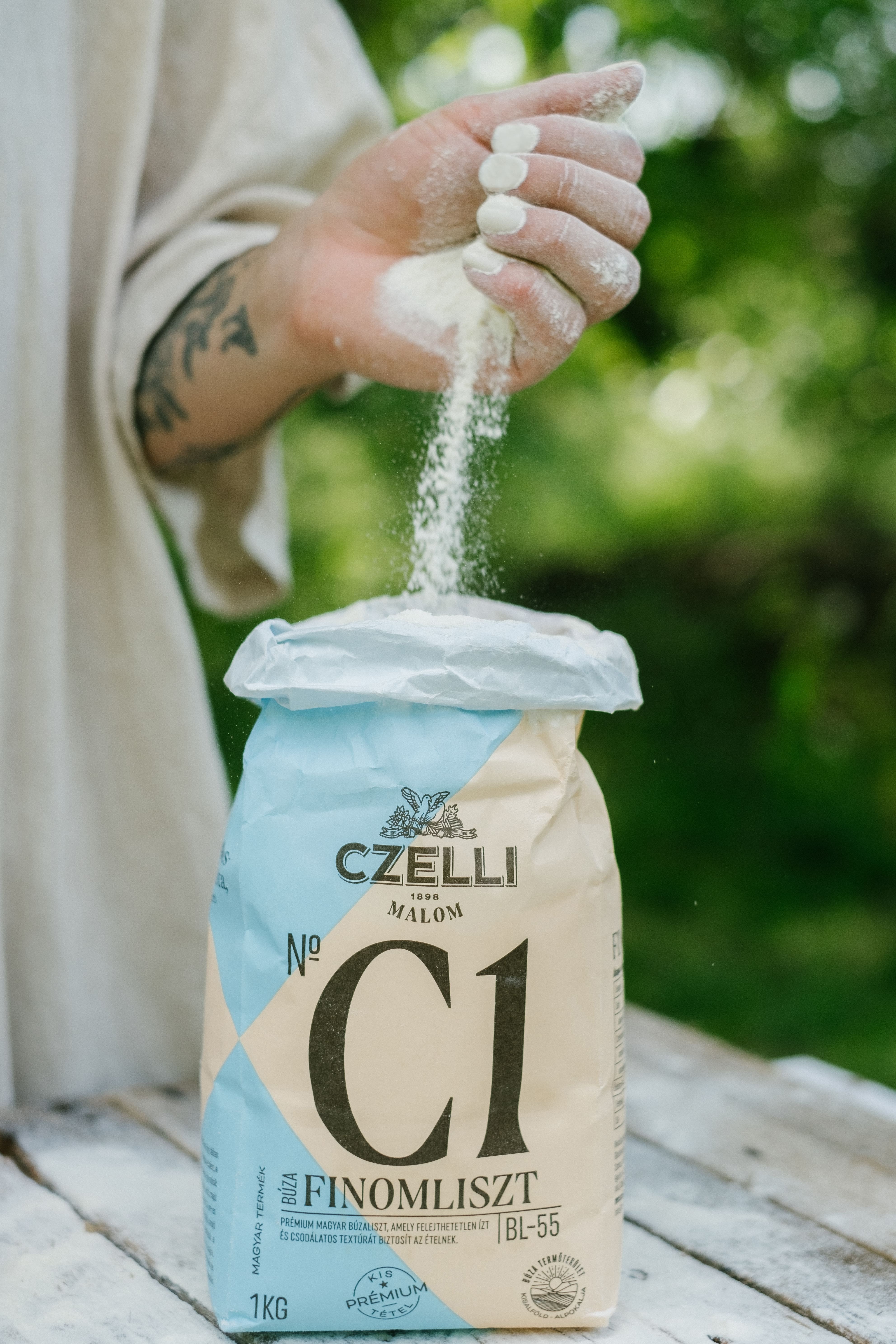 Czelli Mill detail